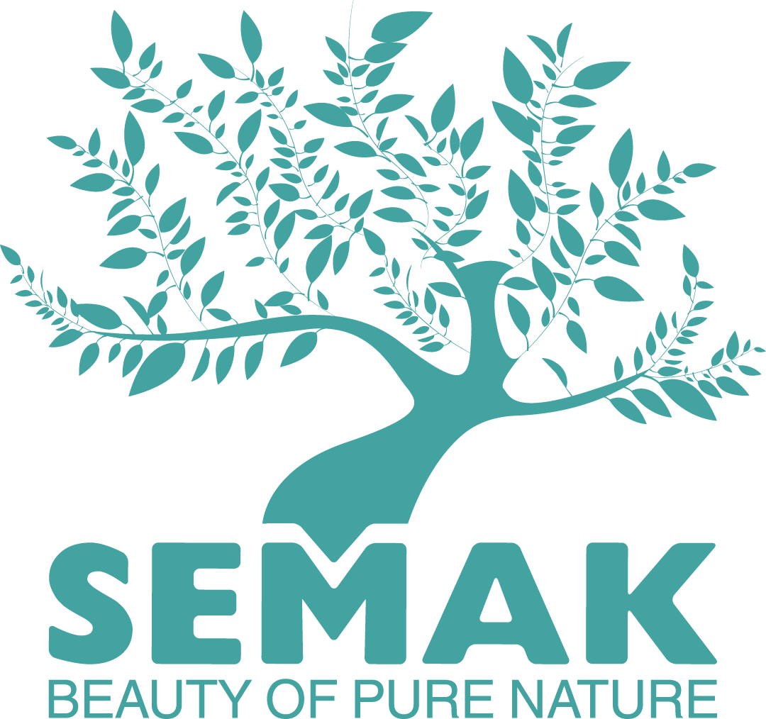 logo (1)